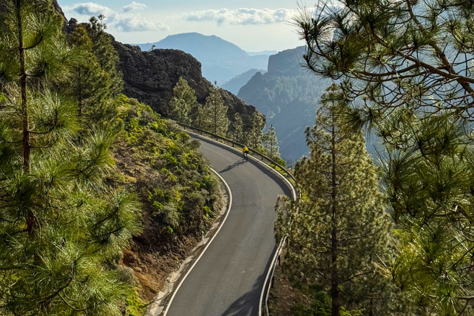 cyclist climbs steep mountain road surrounded by lush vegetation on marmot tours guided cycling tour gran canaria