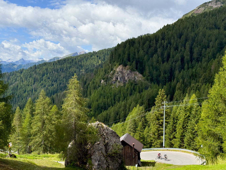 pair of cyclists climbing mountain pass on forested slopes on Italian dolomites cycling holiday with marmot tours