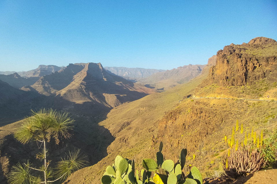 View of mountainous scenery with cacti on full support road cycling holiday Gran Canaria with Marmot Tours