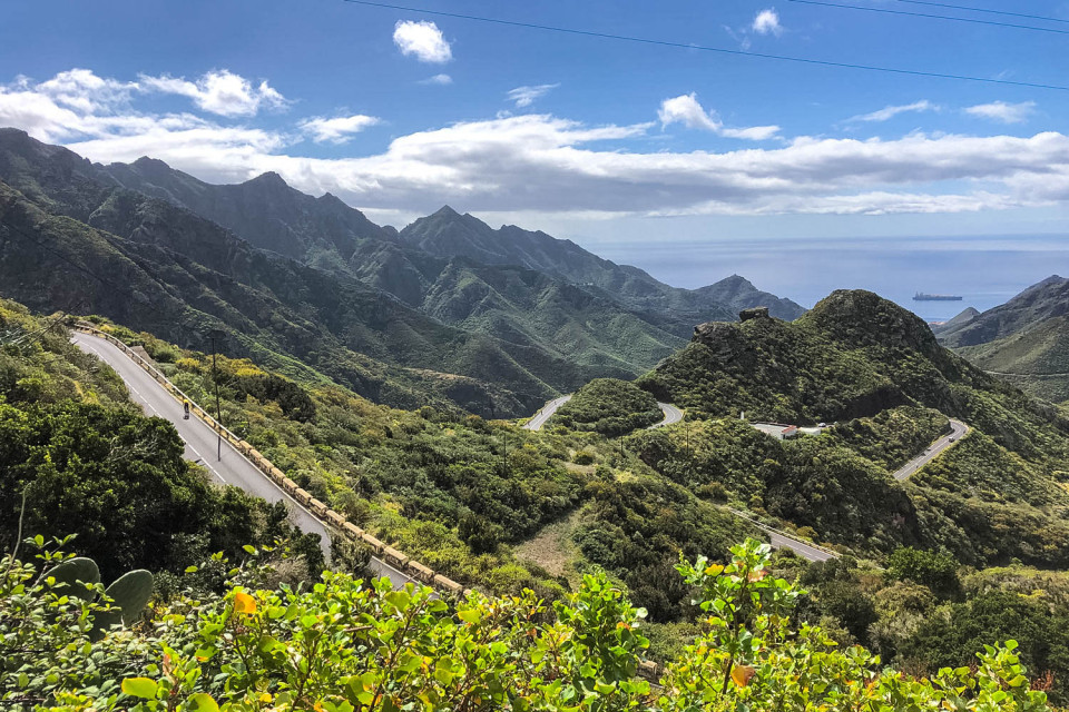 Cyclist climbing through densely forested slopes with sea background and blue sky on guided road cycling tour Tenerife with Marmot Tours